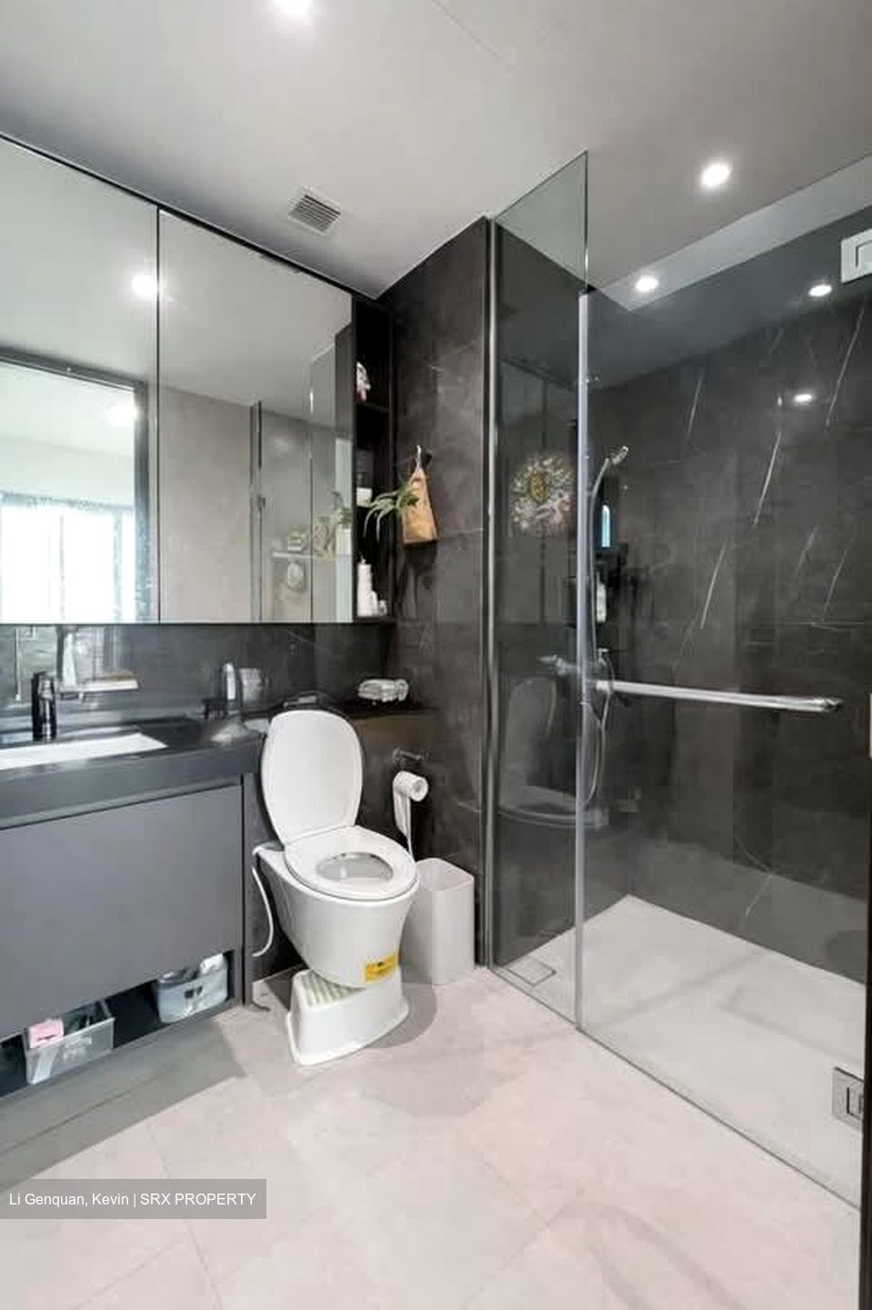Parc Clematis (D5), Apartment #541025811